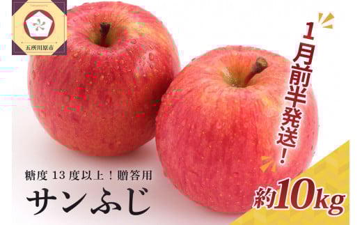 【2026年1月前半発送】 りんご 約10kg サンふじ 青森産 糖度 13度以上　贈答用 特選～特秀