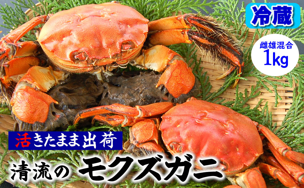 
天然　活モクズガニ　約1kg　兵庫県新温泉町　【1243508】
