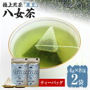 【ふるさと納税】【八女茶】原田茶園 極上煎茶ティーバッグ 麗至 64g 2袋（4g×8）×2 八女 極上 煎茶 福岡 ティーバッグ お茶