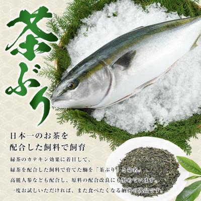 ふるさと納税 長島町 茶ぶり フィレ (1枚)【ウスイ】 usui-7322R8 |  | 01