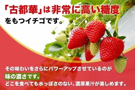 和だや『古都華』２５０×４パック