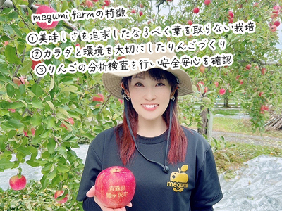 サンジョナゴールド 訳あり 高糖度 青森県産 サンジョナゴールド【約5kg 10〜16玉】