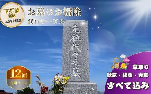 お墓 清掃 代行サービス 12回「ふるさとのお墓 心を込めてお掃除します」 掃除 お掃除 代行  栃木県 しもつけ市 下野市