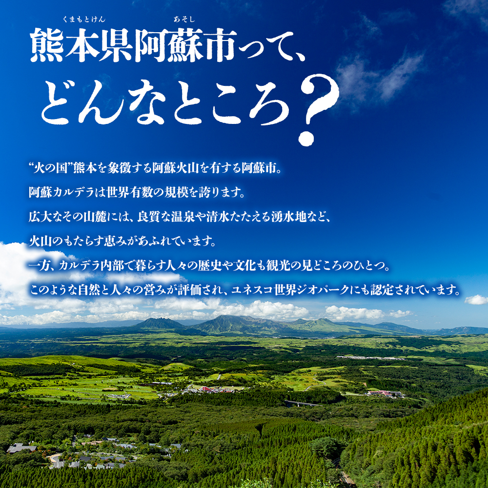 【20,000円分】 阿蘇市 宿泊補助券 観光 旅行 宿泊補助券 クーポン チケット 人気 観光地 選べる 旅館 ホテル 温泉 旅 宿泊 熊本 阿蘇 ホテルクーポン