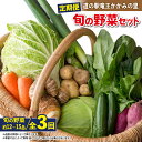 【ふるさと納税】 定期便 3回 野菜 セット 12品 ~ 15品 野菜ソムリエ 厳選 野菜 定期便 3ヶ月 旬 新鮮 やさい たっぷり 道の駅 竜王かがみの里 滋賀県 竜王町