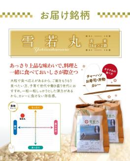 SC0631　令和7年産【玄米】雪若丸　10kg(10kg×1袋) HO