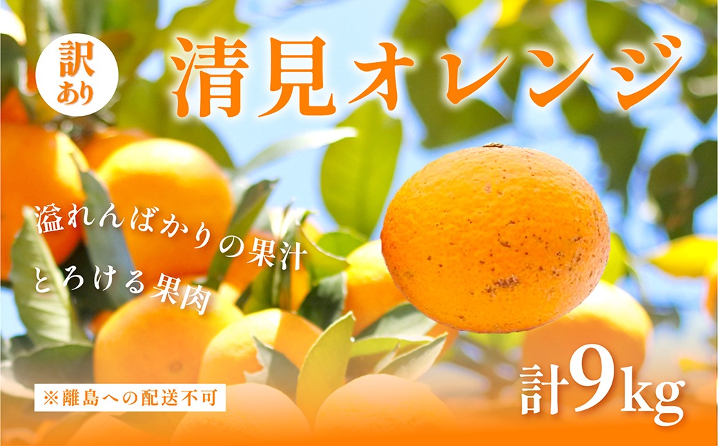 【先行予約】訳あり 清見オレンジ計9kg ※離島への配送不可（2026年3月上旬頃より順次発送予定） IKTAC009