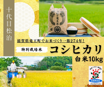 【 新米予約 】 コシヒカリ 白米 10kg 縁起の竜王米 ( 令和6年産 先行予約 新米 こしひかり ｺｼﾋｶﾘ こしひかり ｺｼﾋｶﾘ こしひかり ｺｼﾋｶﾘ こしひかり ｺｼﾋｶﾘ こしひかり ｺｼﾋｶﾘ こしひかり ｺｼﾋｶﾘ ) こしひかり ｺｼﾋｶﾘ こしひかり ｺｼﾋｶﾘ こしひかり ｺｼﾋｶﾘ こしひかり ｺｼﾋｶﾘ こしひかり ｺｼﾋｶﾘ こしひかり ｺｼﾋｶﾘ こしひかり ｺｼﾋｶﾘ こしひかり ｺｼﾋｶﾘ こしひかり ｺｼﾋｶﾘ こしひかり ｺｼﾋｶﾘ こしひかり ｺｼﾋｶﾘ こしひか