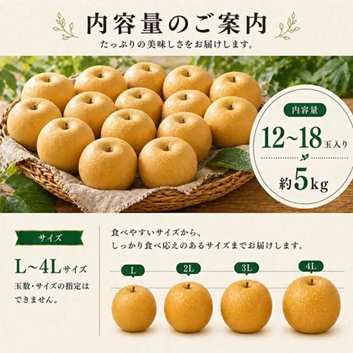 SB0934　刈屋梨　南水　約5kg(12～18玉入)