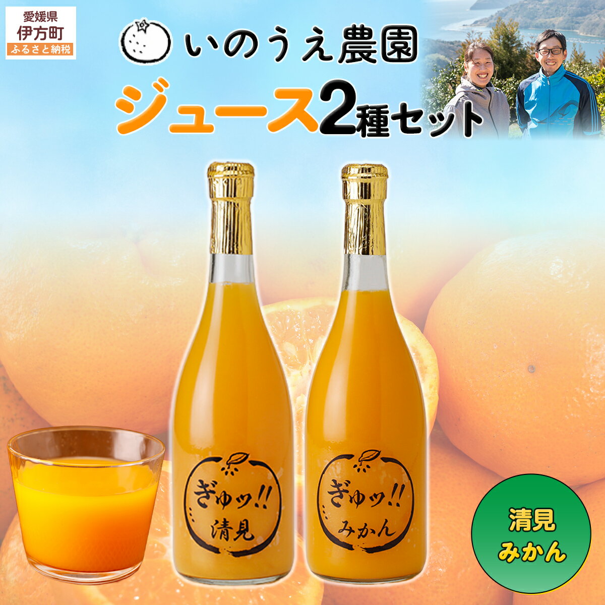 【ふるさと納税】いのうえ農園 ジュース2種セット（清見/みかん）※離島への配送不可 【ふるさと納税 人気 おすすめ ランキング 柑橘 みかん みかんジュース 清見 ジュース フルーツ 果物 産地直送 いのうえ農園 愛媛県産 愛媛県 伊方町 送料無料】 IKTAI019
