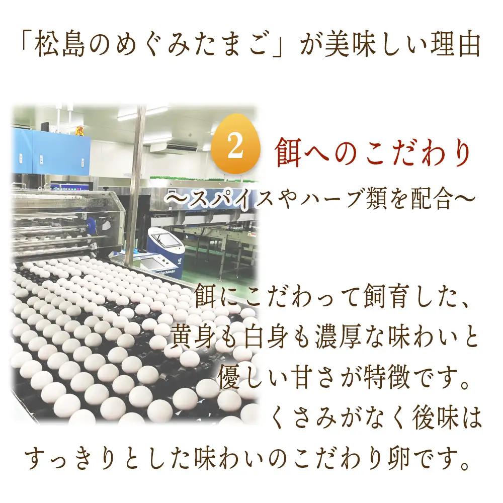 松島のめぐみたまご　20個入り　3ヵ月定期便 No.162