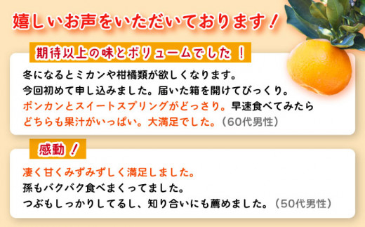 【数量限定】ポンカン&スィートスプリング 食べ比べセット 約9kg / みかん 柑橘 ミカン かんきつ 果物  フルーツ【長崎ぶんたんの会】 [OAF009]