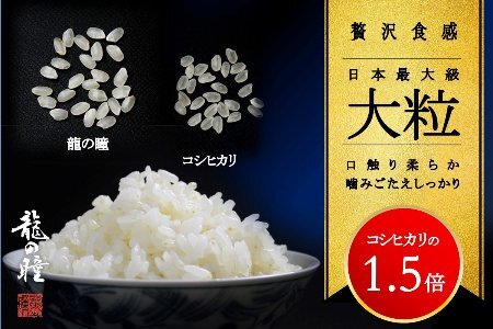 【2023年産米】2kg×1 飛騨産・龍の瞳（いのちの壱）株式会社龍の瞳直送 米 令和5年産 精米【14-11】