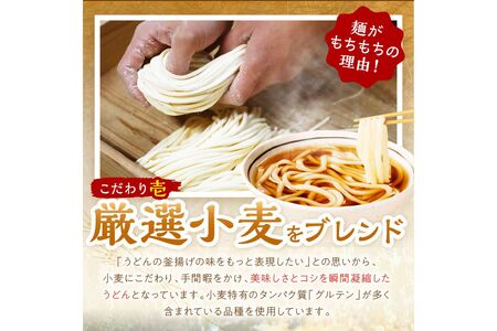 京丹後つねよしの冷凍うどん 20玉入り（20食分）