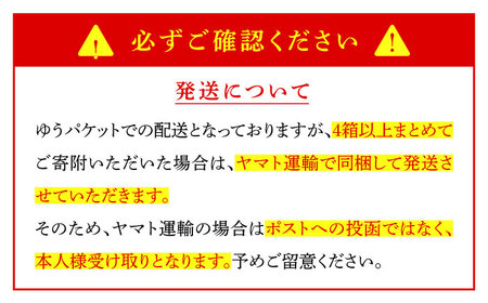 【本場仕込み】長崎白湯ちゃんぽん 4食 /&nbsp;ちゃんぽん チャンポン 長崎ちゃんぽん 麺&nbsp;/ 南島原市 / こじま製麺[SAZ025]