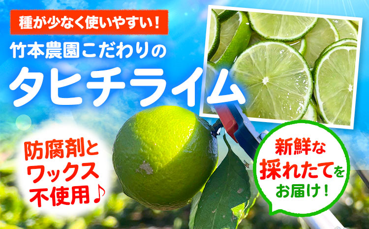 【先行予約】ライム 国産 ライム 約1.5kg ( 15〜25玉 )《9月下旬-12月中旬頃出荷》竹本農園 和歌山県 日高川町 産地直送 旬 新鮮 果物 柑橘 らいむ フルーツ 国産 送料無料(f)