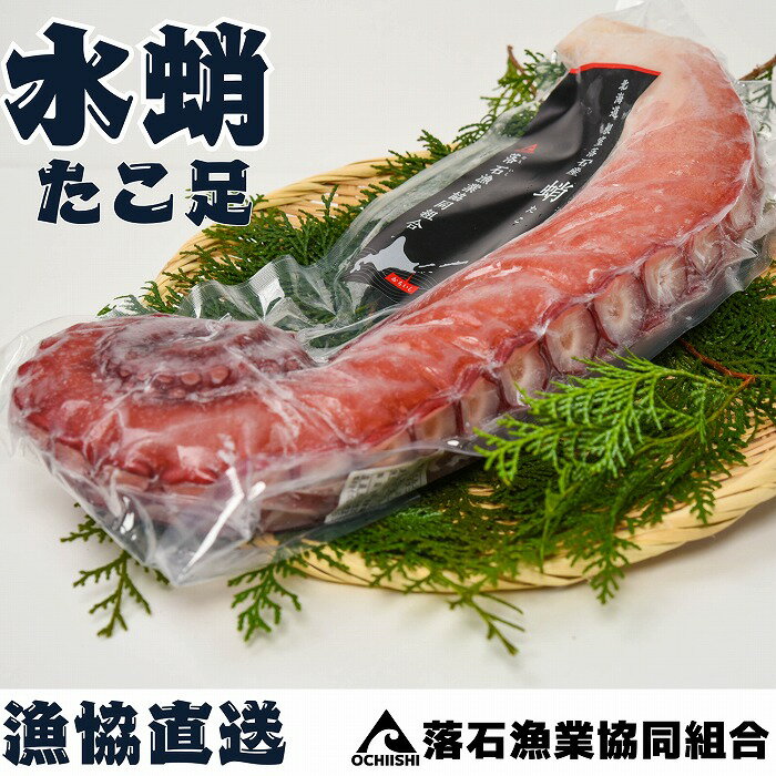 【ふるさと納税】[北海道根室産]ボイル水たこ足 選べる 1本 〜 7本 たこ タコ 蛸 ミズタコ みずたこ 水蛸 水タコ 北海道 根室市