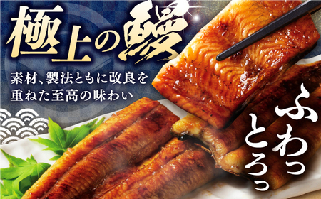 【12回定期便】三代目天の鰻蒲焼 1尾 / 鰻 鰻蒲焼 鰻蒲焼き 鰻 鰻蒲焼 鰻蒲焼き[ATAD058]
