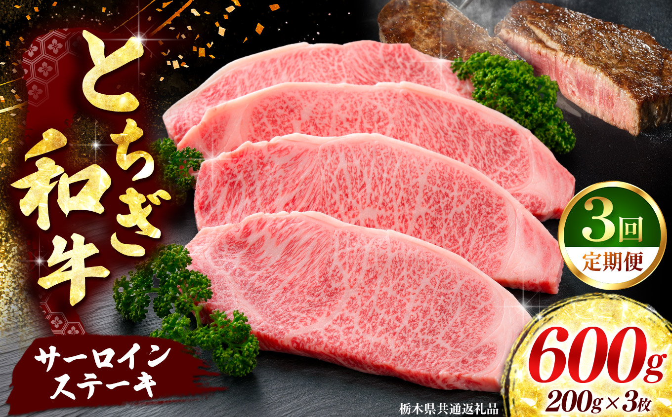 《定期便3回》【とちぎ和牛】牛肉 サーロインステーキ 200g×3P  《栃木県共通返礼品》