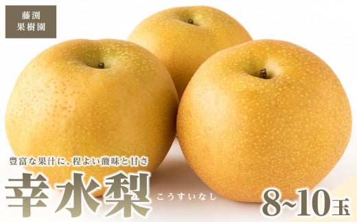 
            藤渕果樹園の幸水梨(こうすいなし)（2）【8～10玉入り】
          