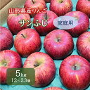 【ふるさと納税】りんご ( サンふじ ) 5kg 12〜23個 ご家庭用 果物 フルーツ 産地直送 送料無料 山形県 上山市 0065-2410