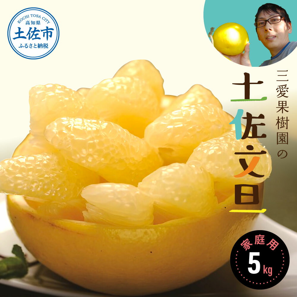 【ふるさと納税】【先行予約】三愛果樹園の土佐文旦 家庭用 5kg / 土佐文旦 みかん 柑橘 ぶんたん ブンタン 果物 フルーツ 〈2027年2月上旬から順次発送〉【三愛果樹園】[BQAO004]