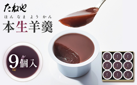 たねや 本生羊羹 9個入り 羊羹 和菓子
