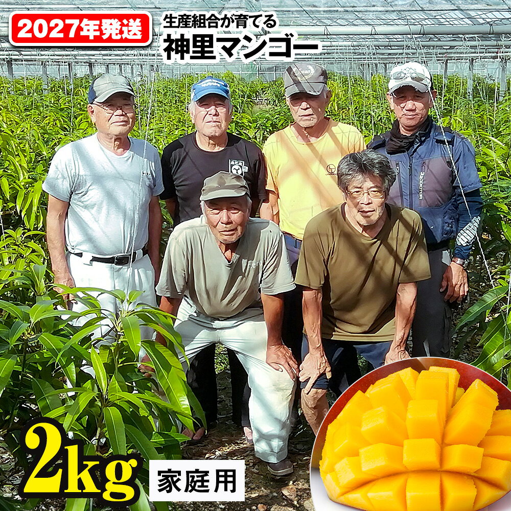 【ふるさと納税】【2027年発送】生産組合が育てる神里のマンゴー2kg 家庭用