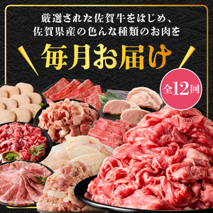 丸福 肉の定期便（12回）／ 牛肉 定期便【Z042】