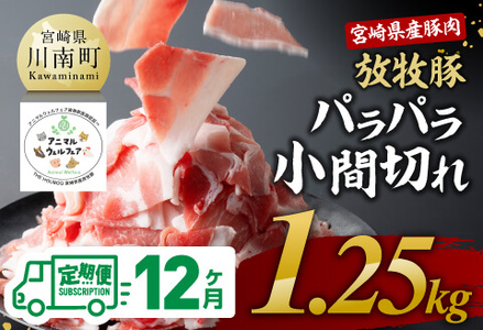 【12ヶ月定期便】宮崎県産豚肉　放牧豚パラパラ小間切れ1.25kg（250g×5袋）【 豚肉 豚 肉 小間切れ 細切れ 炒め物 】