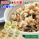 【ふるさと納税】AS10：GABA玄米もち麦パックごはん5種セット（10パック）