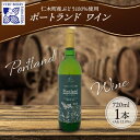 【ふるさと納税】ポートランド ブドウ ワイン 720ml 1本 葡萄 ぶどう 果実 果実酒 お酒 アルコール 白ワイン 辛口 お取り寄せ ギフト gift ボトル 紙箱 御中元 お中元 自然農園 北海道 仁木町　【 果実酒 】