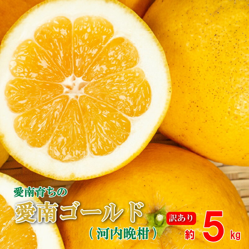 【ふるさと納税】 訳あり 愛南ゴールド ( 河内晩柑 ) 5kg みかん 蜜柑 河内晩柑 和製 グレープフルーツ 傷 不揃い 規格外 常温 愛媛県 愛南町青果市場 発送: 4月〜なくなり次第終了