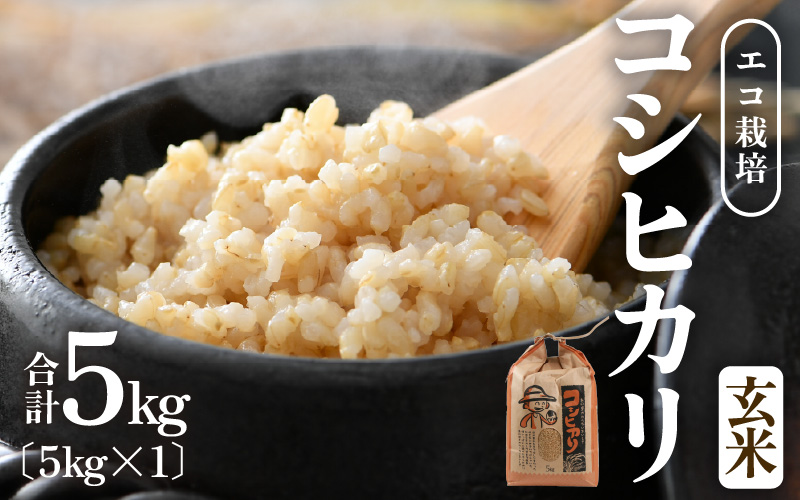 【先行予約】【令和8年産 新米】【一等米】エコ栽培コシヒカリ　玄米5kg ／ 鮮度抜群 福井県産 こしひかり ご飯 新鮮 玄米 ※2026年10月上旬以降順次発送 [aw063-a028]
