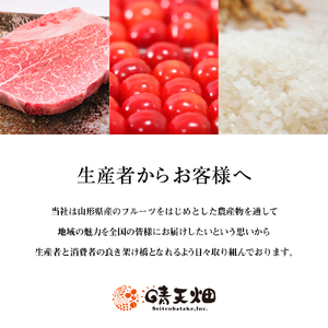 【2026年産先行予約】　採れたて黄桃(品種お任せ) 約3kg (7～12玉)晴天畑提供 山形県 東根市 hi026-057（もも 桃 黄桃 フルーツ 果物 くだもの 産地直送 期間限定 特産品 お取