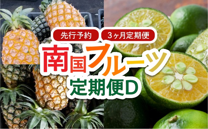 
            2025年 先行予約 定期便 3ヶ月 南国フルーツ 定期便D ピーチパイン 島パイン シークヮサー 計3種類 果物 フルーツ 3回 お楽しみ
          