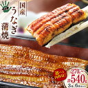 【ふるさと納税】【選べる内容量】 うなぎ 国産 蒲焼 90g×3〜6【保存料 着色料 不使用】[ての字 静岡県 吉田町 1021505] 鰻 ウナギ 蒲焼き 真空パック 化粧箱 270g 540g 3尾 6尾