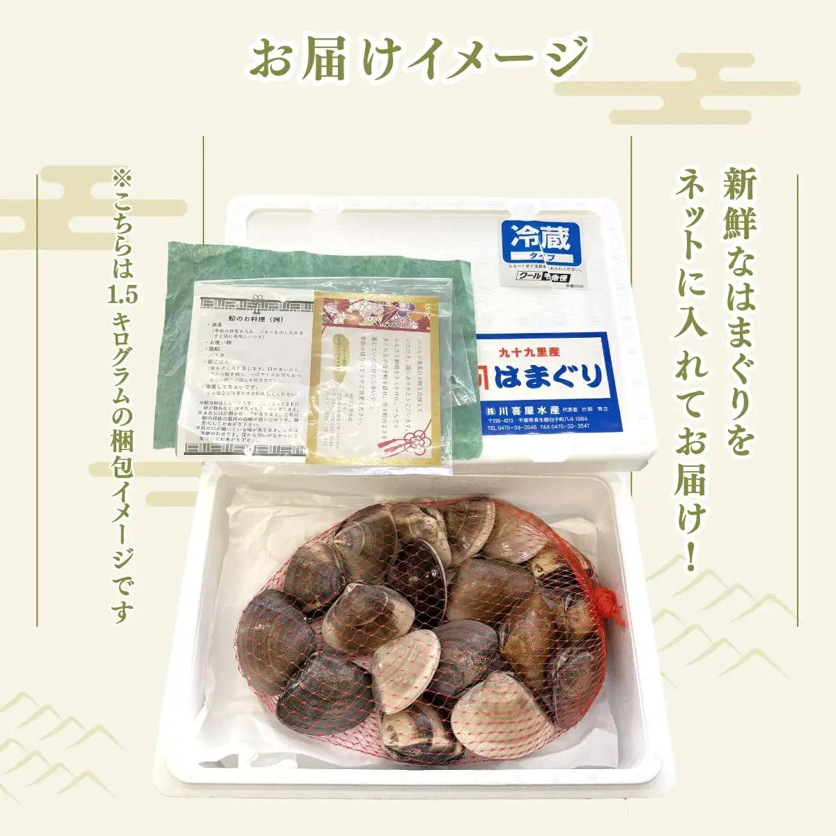 【定期便3ヶ月】九十九里産 大粒 天然はまぐり1.5kg×3回 計4.5kg ふるさと納税 はまぐり 蛤 天然 焼きはまぐり 網焼き 酒蒸し お吸い物 お祝い パエリア 和食 活はまぐり 千葉県 白子