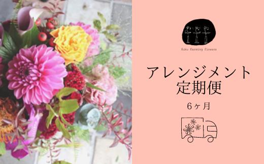 
【6ヶ月定期便】オリジナルフラワーアレンジメント ミディサイズ（Mサイズ） 直径約20㎝ 季節のお花（生花）おまかせ fuku farming flowers
