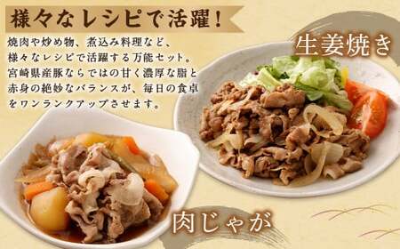 ＜宮崎県産豚 バラエティセット 計2.7kg＞翌月末迄に順次出荷【c1439_mc】 バラエティセット 4種 合計2.7kg 豚バラ焼肉 豚ロースor肩ローススライス 豚モモスライス 豚小間切れ 豚ロ