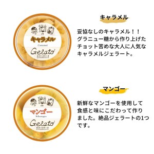 果樹園のジェラートセレクトvol.2 [6種×各2個] 合計12個セット  ジェラート詰合せ アイス詰合せ  [田沢農園] 【019S037】