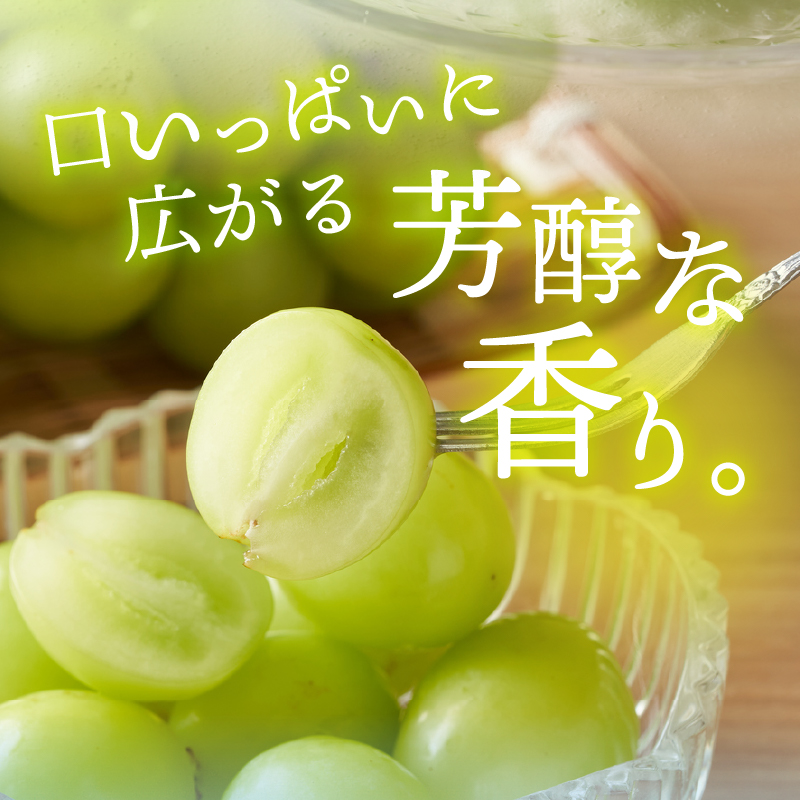 〈2026年度配送分〉山梨県産 シャインマスカット 3～5房（2.0kg以上）
