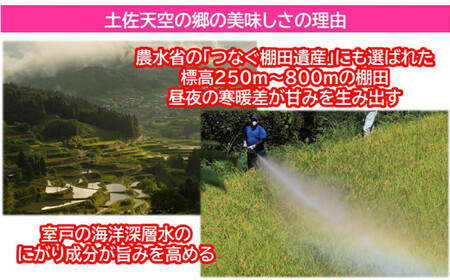 【新米予約】令和7年産土佐天空の郷 にこまる 5kg　2010年・2016年 お米日本一コンテスト inしずおか 特別最高金賞受賞の棚田米