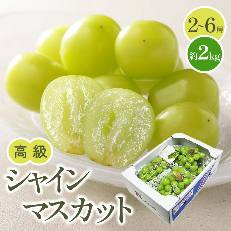 【ふるさと納税】高級 シャインマスカット 約2kg 【2026-8月中旬～2026-9月下旬配送】 | 厳選 ぶどう マスカット 果物 フルーツ デザート スイーツ 産地直送 旬 ギフト 贈答 贈り物 食品 人気 おすすめ お取り寄せ グルメ