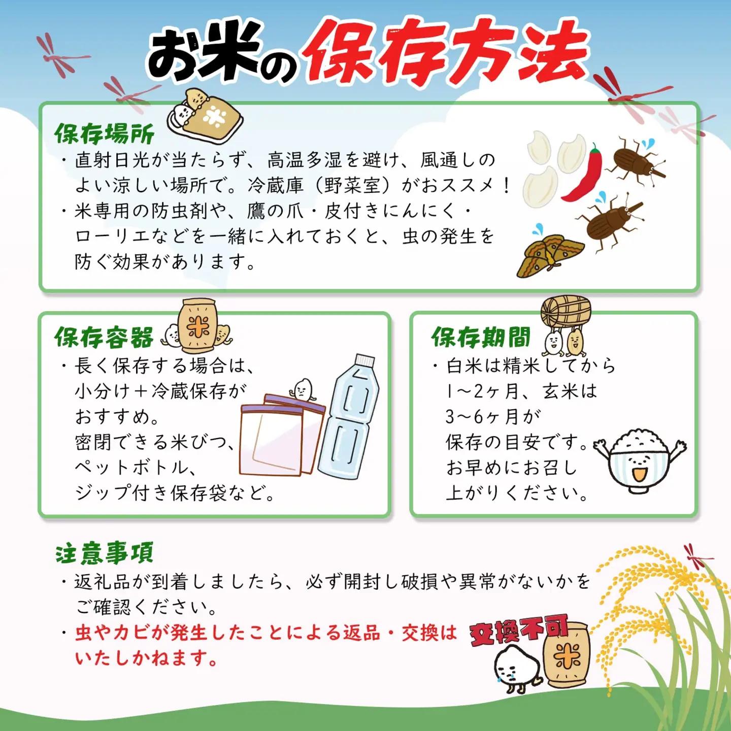 米 玄米 コシヒカリ 5kg 新米 令和8年産 米 S278