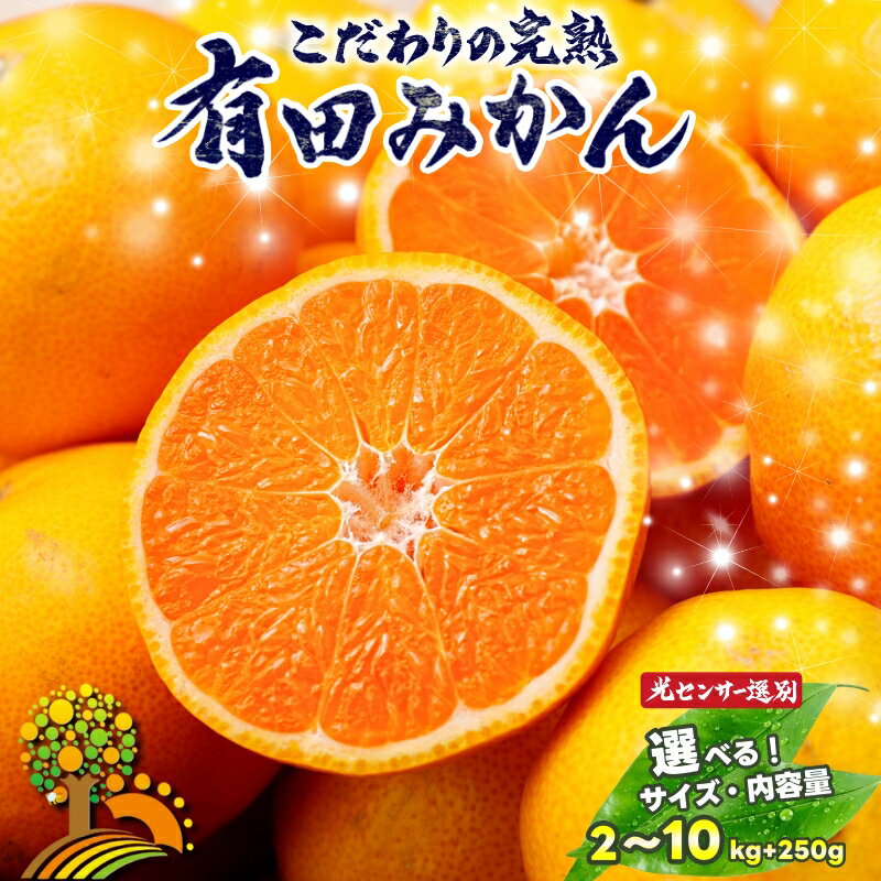 【ふるさと納税】 みかん こだわりの 有田みかん 約2kg～10kg ＋250g(傷み補償分) 容量 配送時期 光センサー選別 家庭用 ご家庭用 みかん ミカン 果物 フルーツ 農家直送 有機質肥料100% 【11月 ・12月 発送】日付指定不可