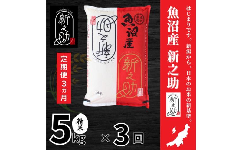 【定期便全3回毎月発送】魚沼産新之助(精米)　5kg 米 定期 新潟 十日町市