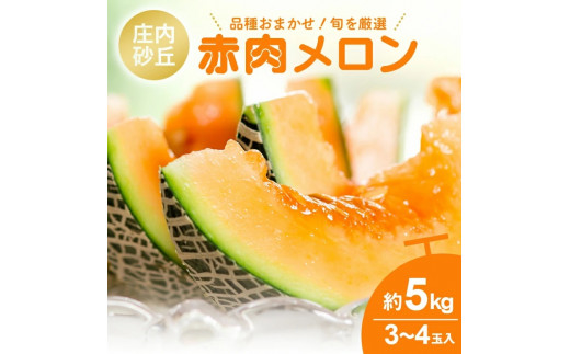 庄内砂丘 『赤肉メロン』　約5kg(3～4玉入) 品種おまかせ SA2931