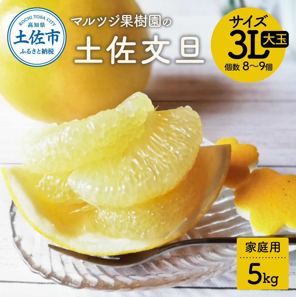 【ふるさと納税】【先行予約】土佐文旦 約5kg 家庭用 大玉 土佐文旦 高知 柑橘 フルーツ ぶんたん 果物 甘い 旬 産直 お取り寄せ 季節限定 食べやすい コンパクト 特大 訳あり 高知県土佐市/マルツジ果樹園[BQAN001]