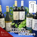 【ふるさと納税】サントネージュ かみのやま産葡萄の ワイン 満足 セット 750ml × 6本 カベルネ・ソーヴィニヨン シャルドネ メルロー 日本ワイン お取り寄せ 産地直送 送料無料 山形県 上山市 0141-2415